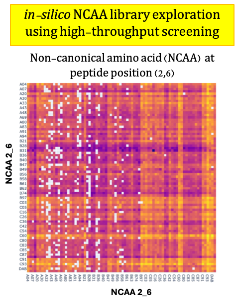 In-Silico NCAA-Containing Peptide Design